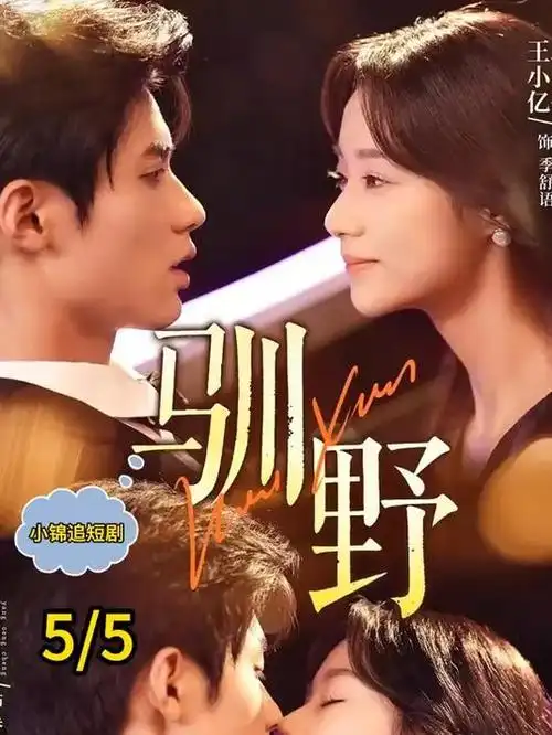 回声档案 刑侦悬疑电视剧全集高清